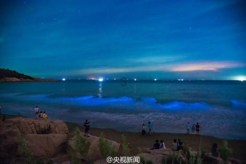 探索今年2023年有多少个星期?的红迪网平台,发现你感兴趣的内容