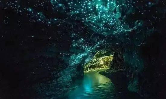 创作猫