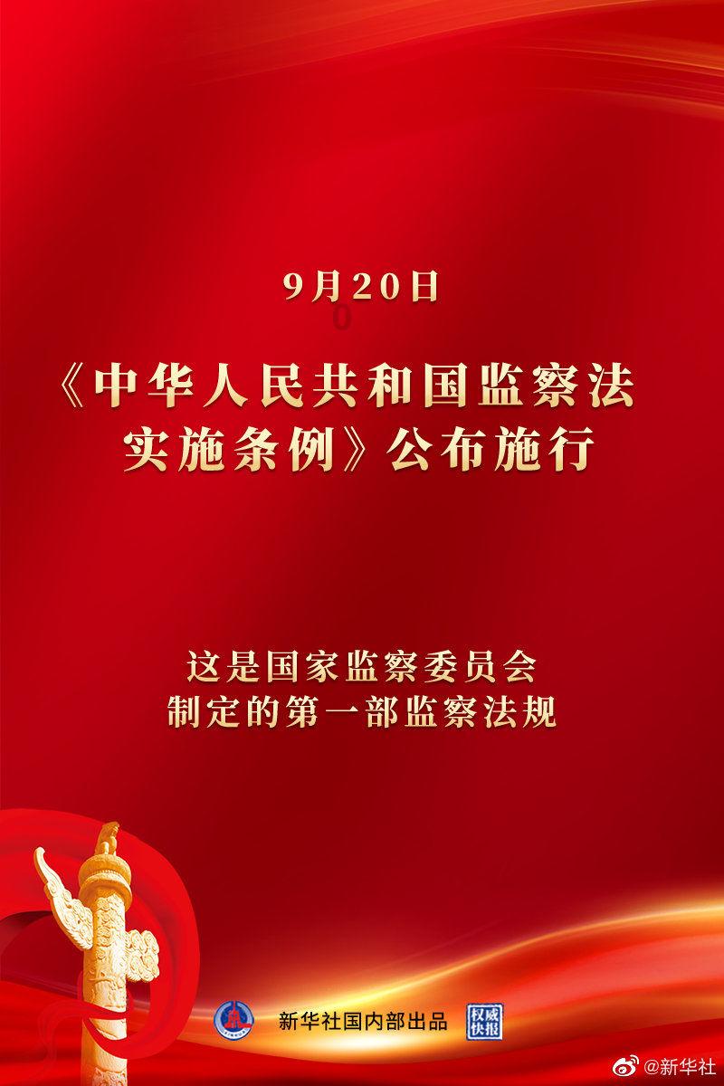 小猫钓鱼游戏龙王版有船