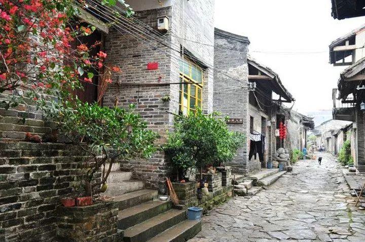 雷竞技比分